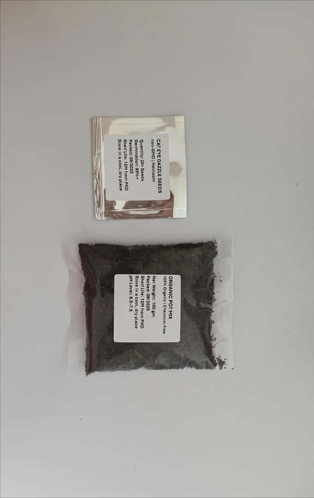 🌱 Cat Eye Dazzle Seeds + Free Organic Pot Mix