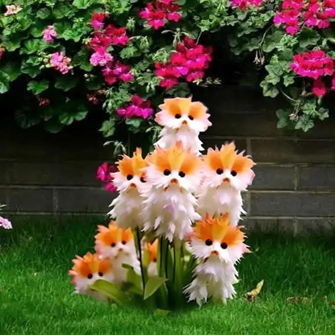 🌱 Cat Eye Dazzle Seeds + Free Organic Pot Mix